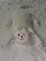 17c0c48aa6a81e654477ba2c59a49f4e